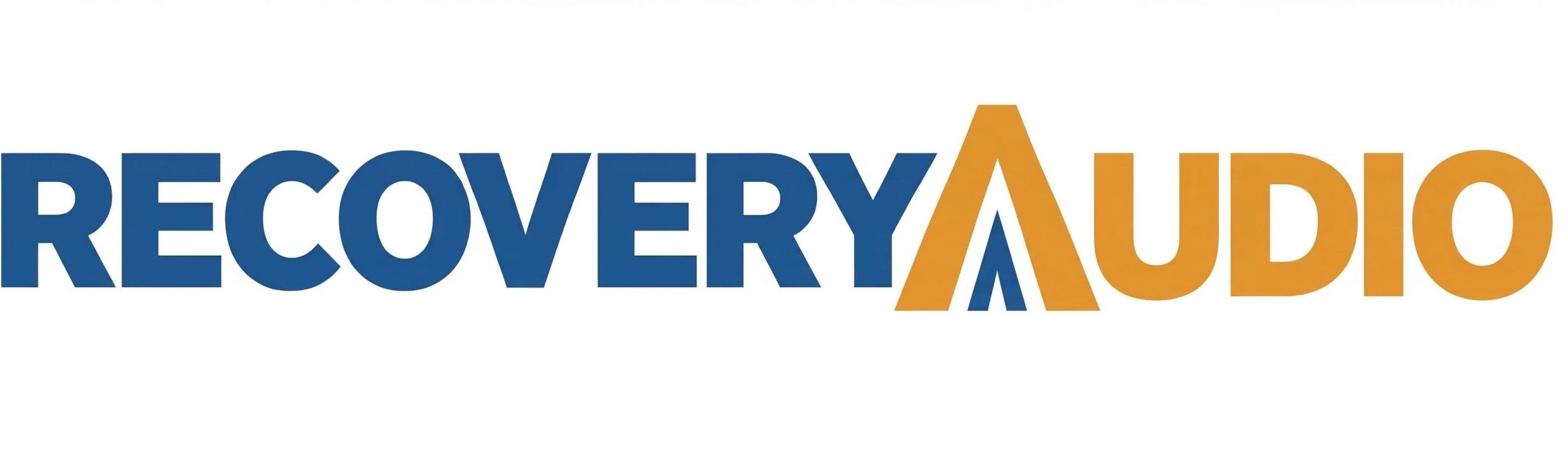 RecoveryAudio AA Speakers